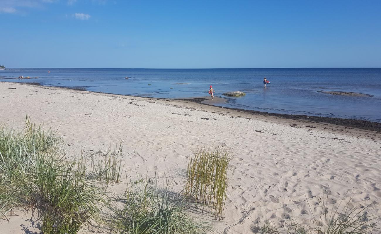 Photo de Upesgriva beach avec sable beige de surface