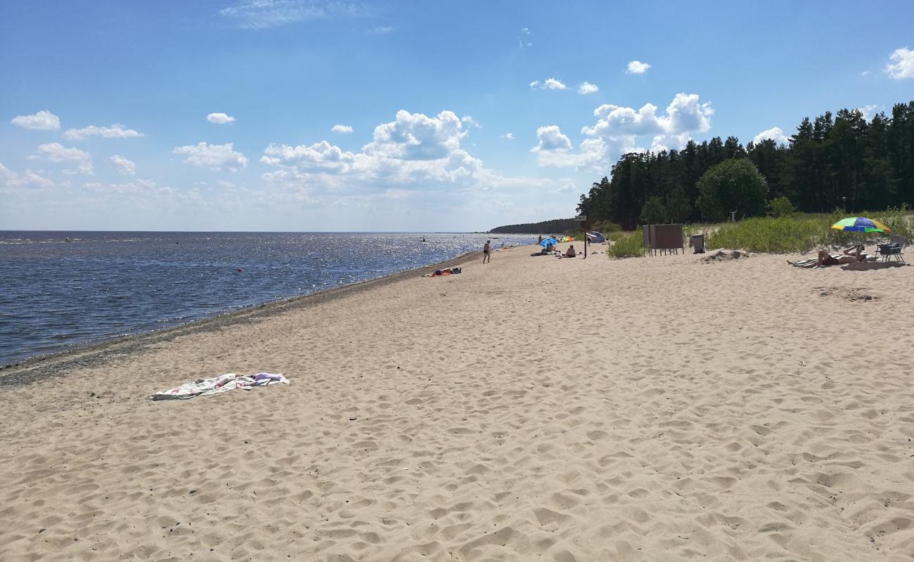 Photo de Abragciems beach avec sable beige de surface