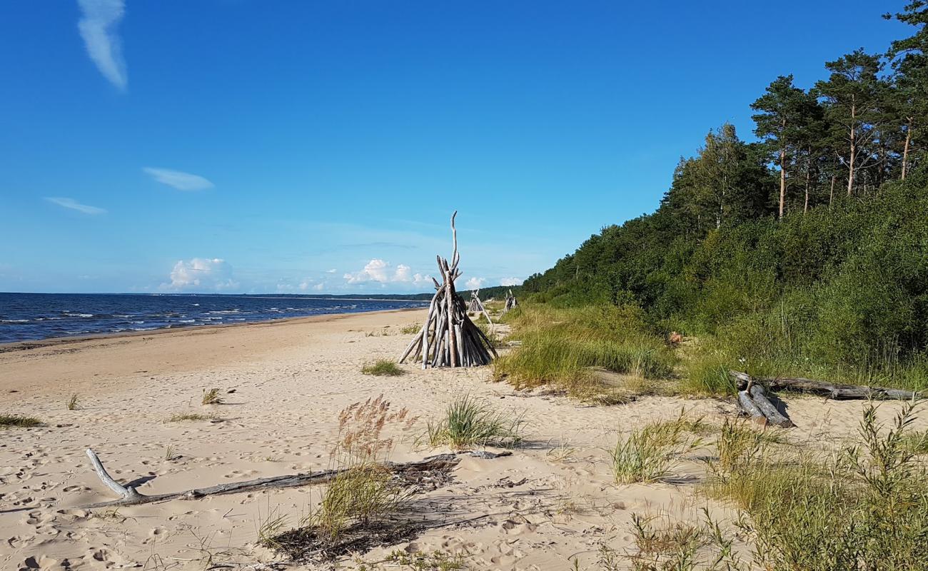 Photo de Incupes nudistu pludmale avec sable fin et lumineux de surface