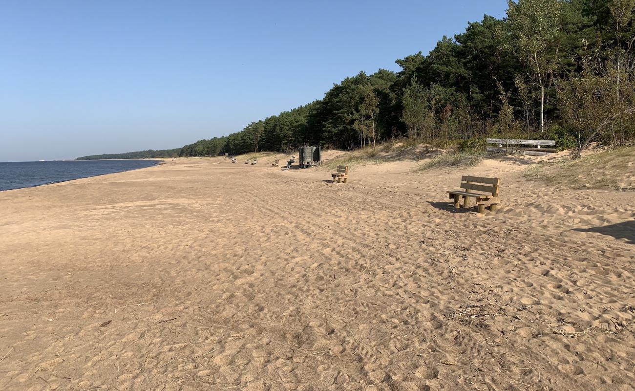 Photo de Saulkrasti beach avec sable beige de surface