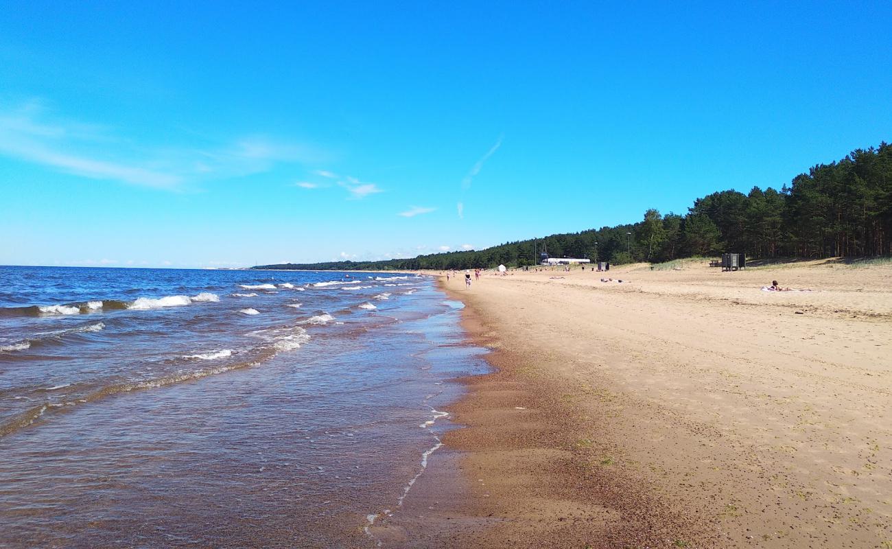 Photo de Saulkrasti beach II avec sable lumineux de surface