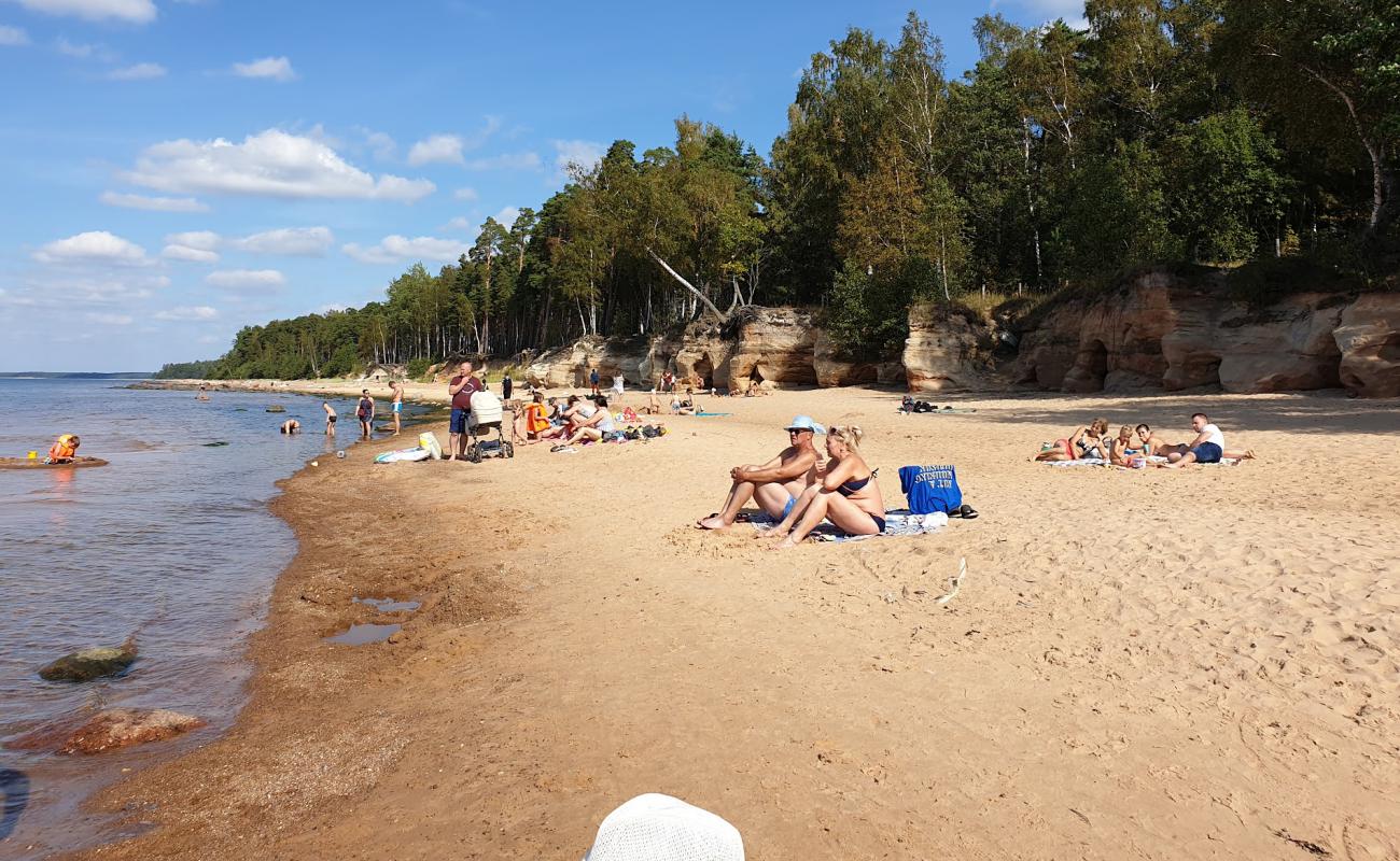 Photo de Veczemju klintis avec sable lumineux de surface