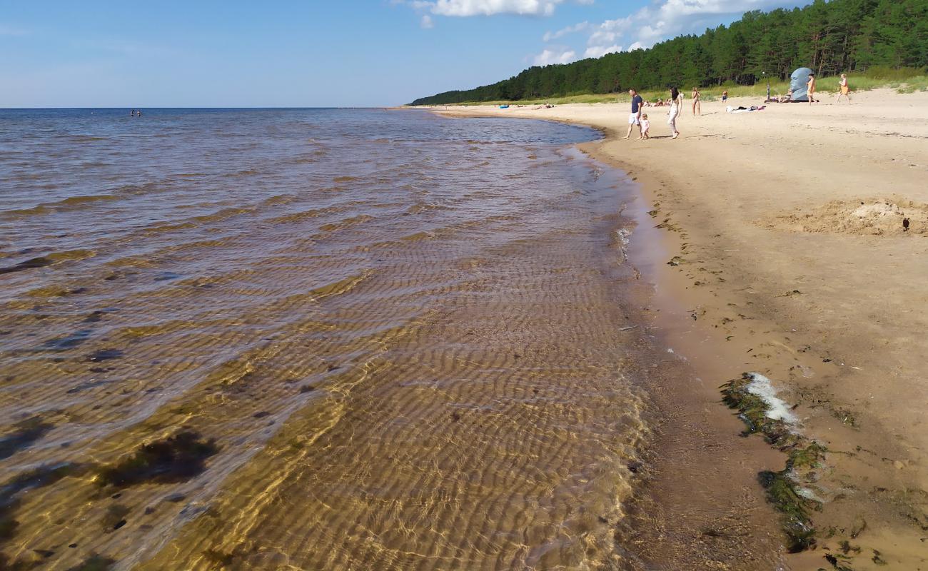 Photo de Salacgrivas beach avec sable beige de surface