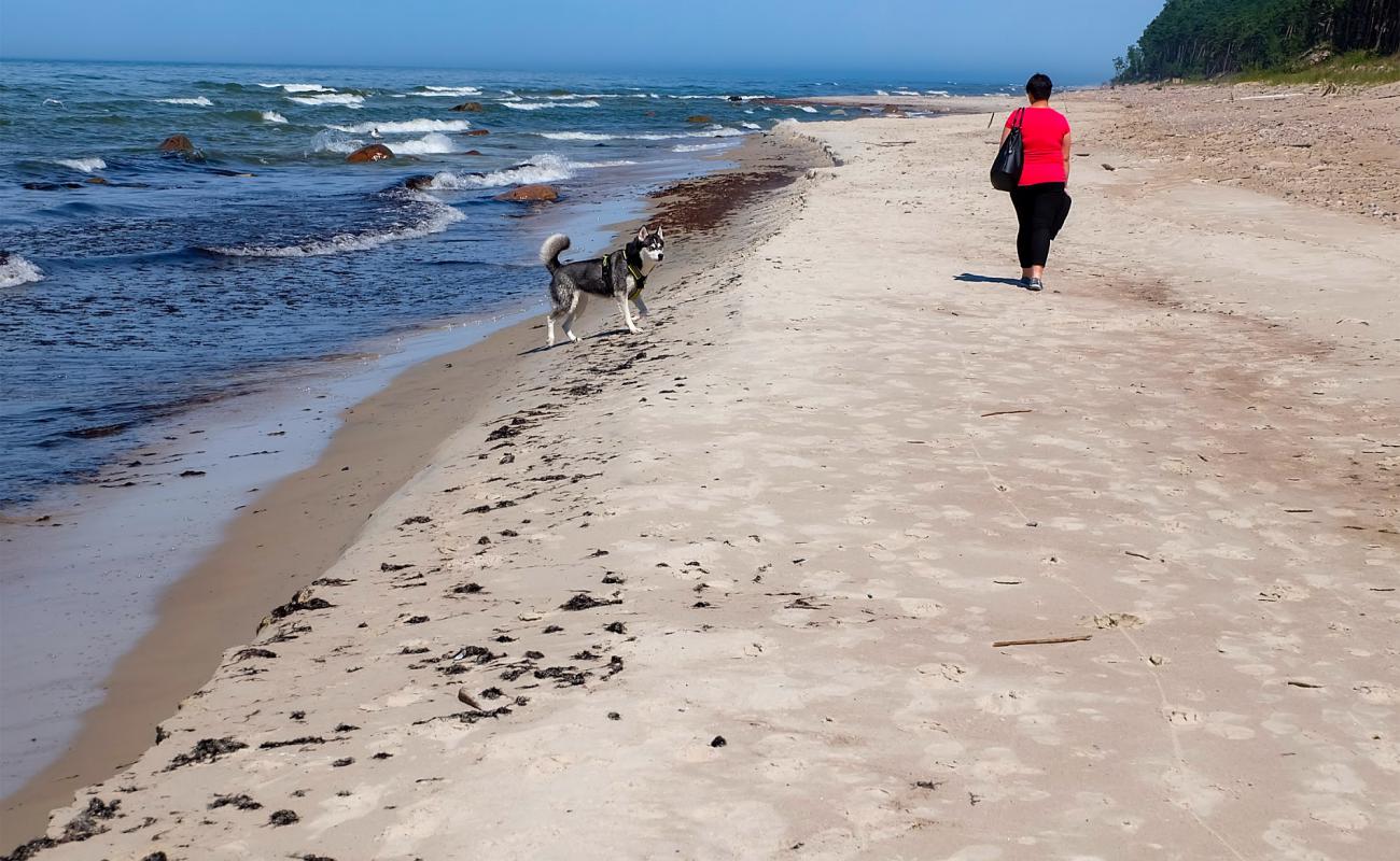 Photo de Joldija Beach avec sable beige de surface