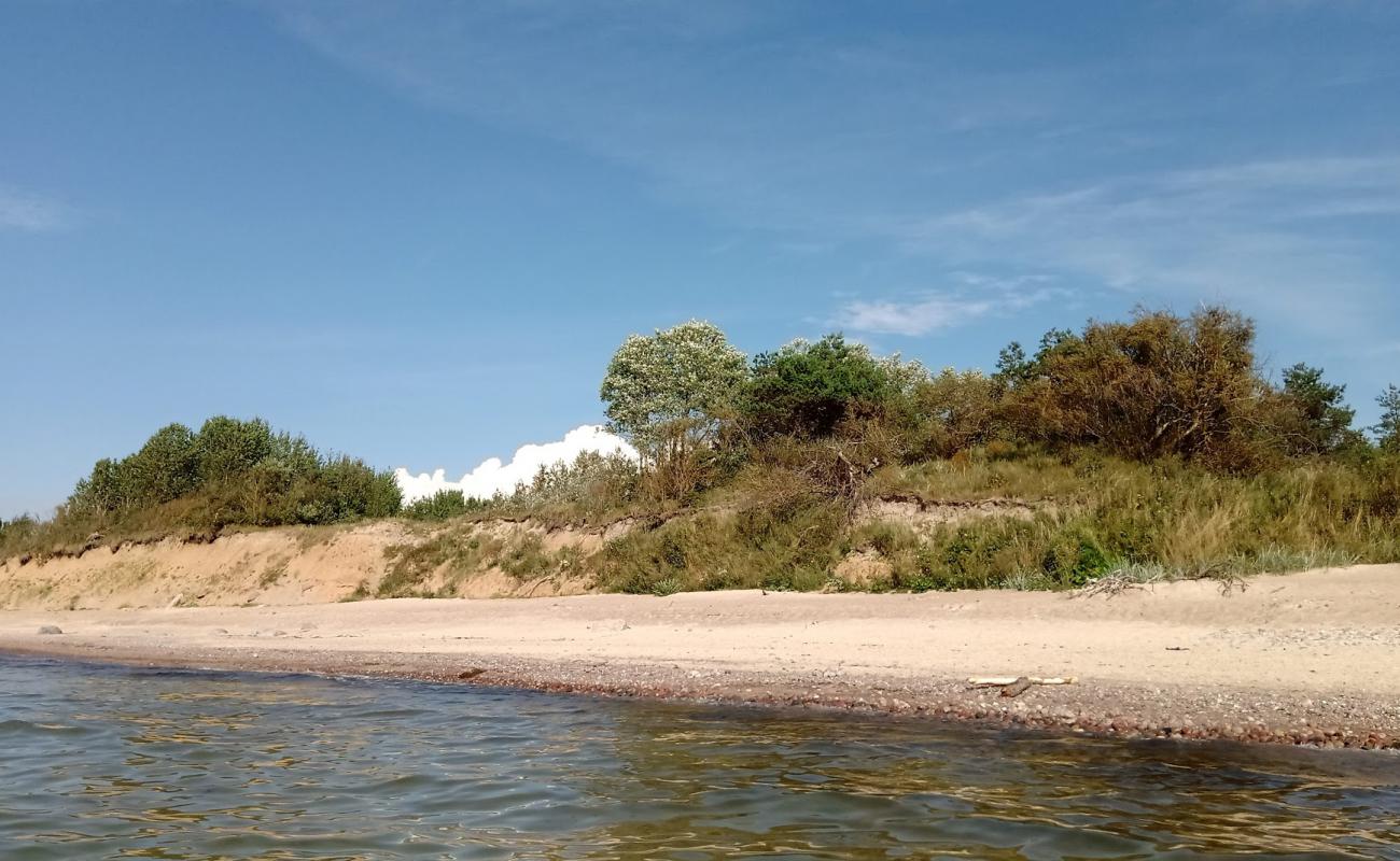 Photo de Palangos beach avec sable clair avec caillou de surface