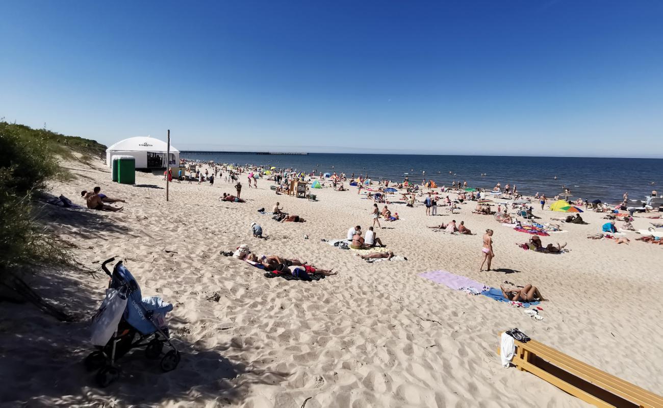 Photo de Palanga sahili avec sable fin et lumineux de surface