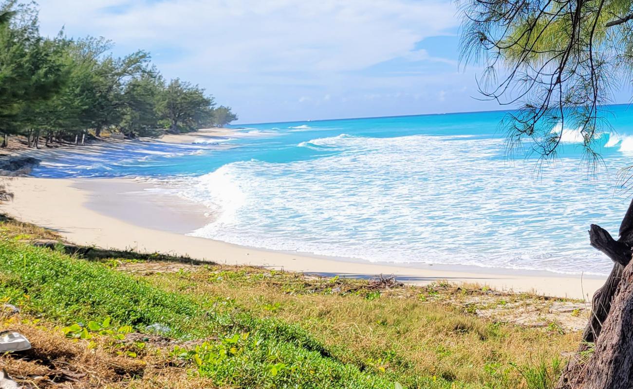 Photo de Alice Town beach avec sable beige de surface