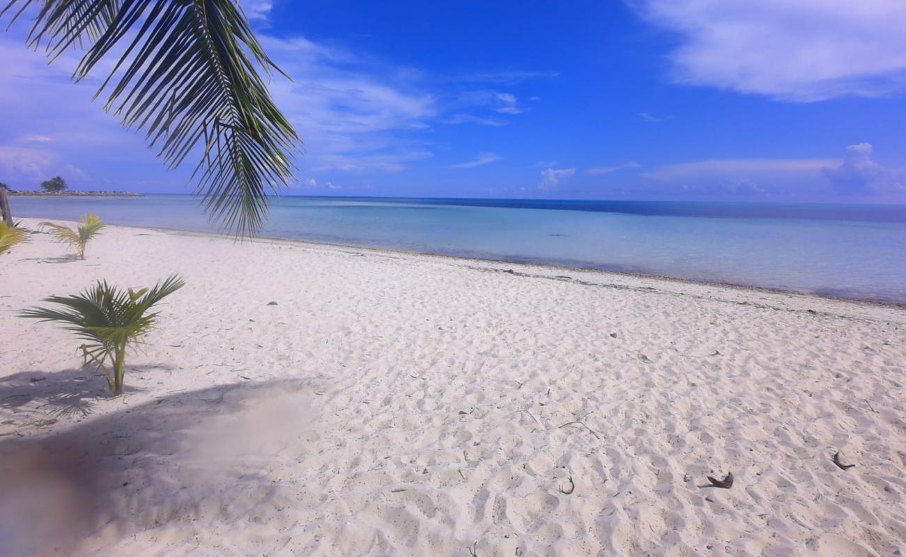 Photo de Barbary beach avec sable beige fin de surface