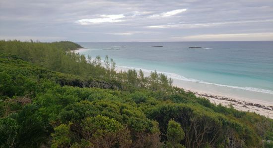 Great Abaco Hwy beach
