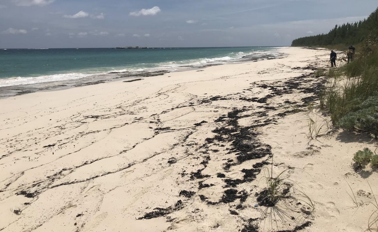 Photo de Crossing Rocks beach avec sable beige fin de surface