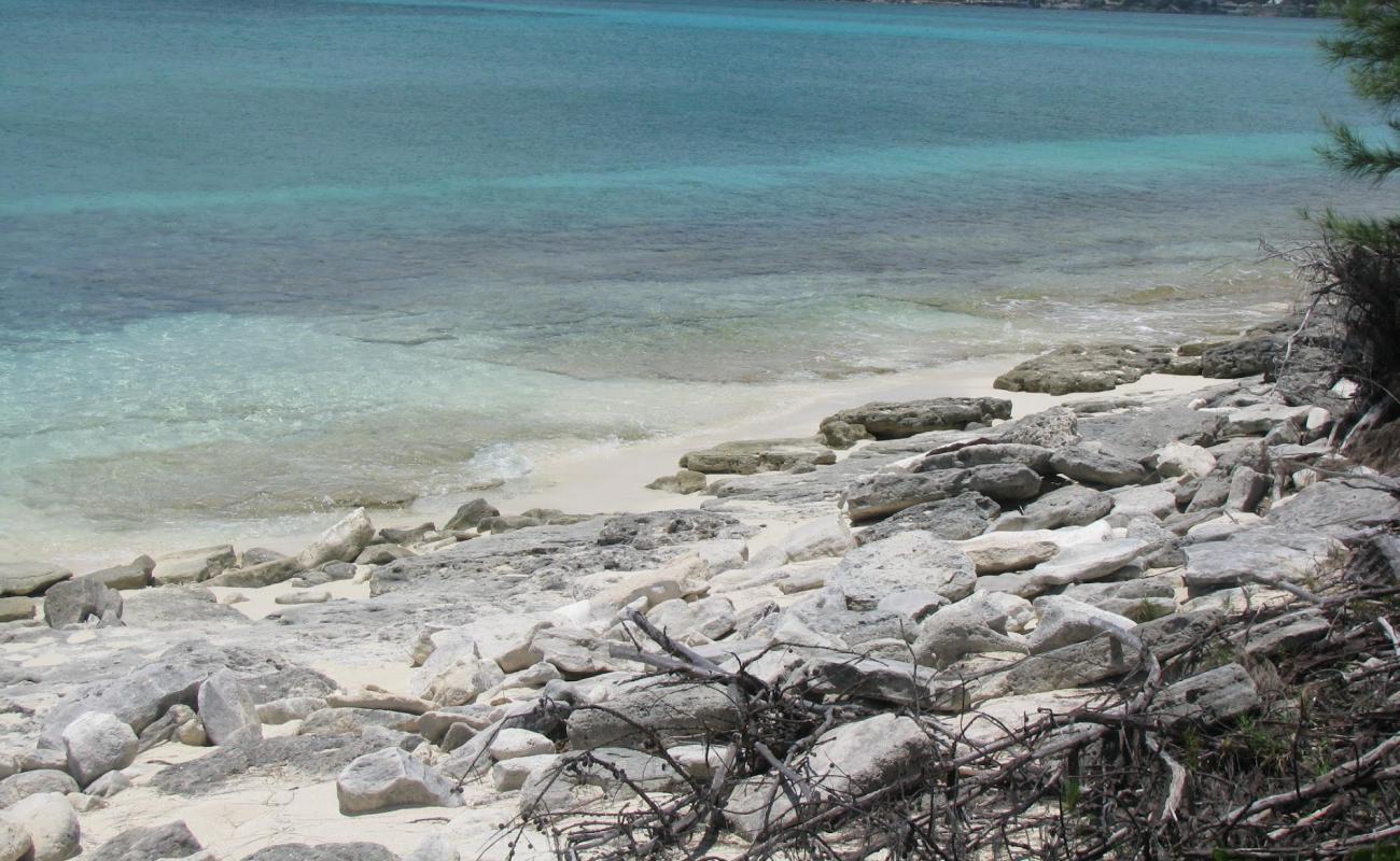 Photo de Flipper beach avec sable brillant et rochers de surface