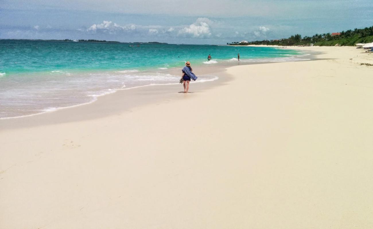 Photo de Cabbage beach avec sable fin et lumineux de surface