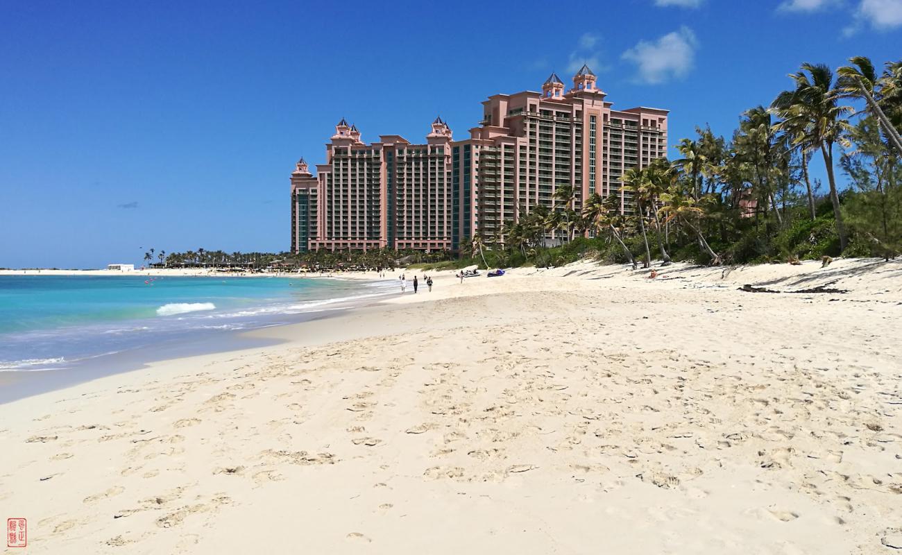 Photo de Paradise beach avec sable beige fin de surface