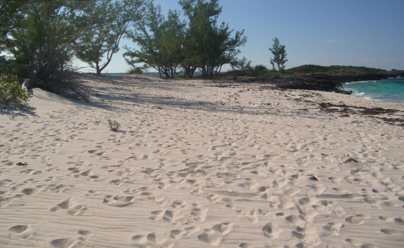 Photo de Rose Island beach avec sable beige & pierres de surface