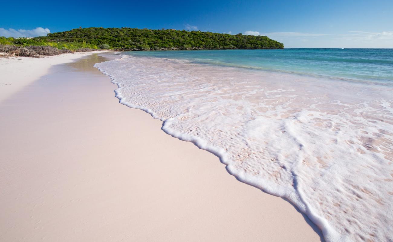 Photo de Cotton Bay beach avec sable fin et lumineux de surface