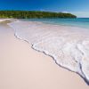 Cotton Bay beach