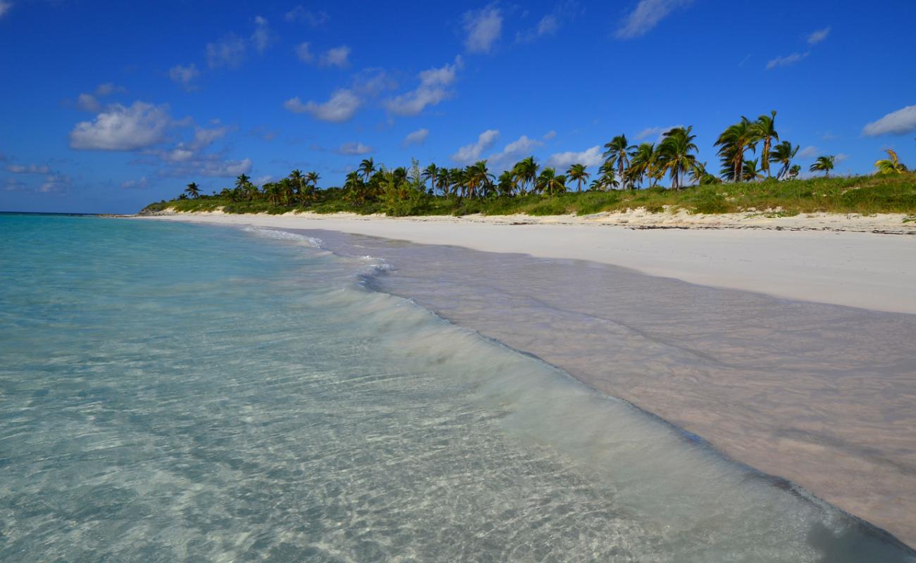 Photo de Winding Bay beach avec sable fin et lumineux de surface