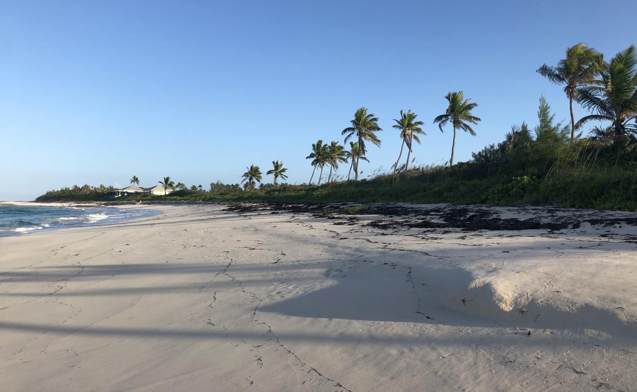 Photo de Double Bay beach II avec sable lumineux de surface