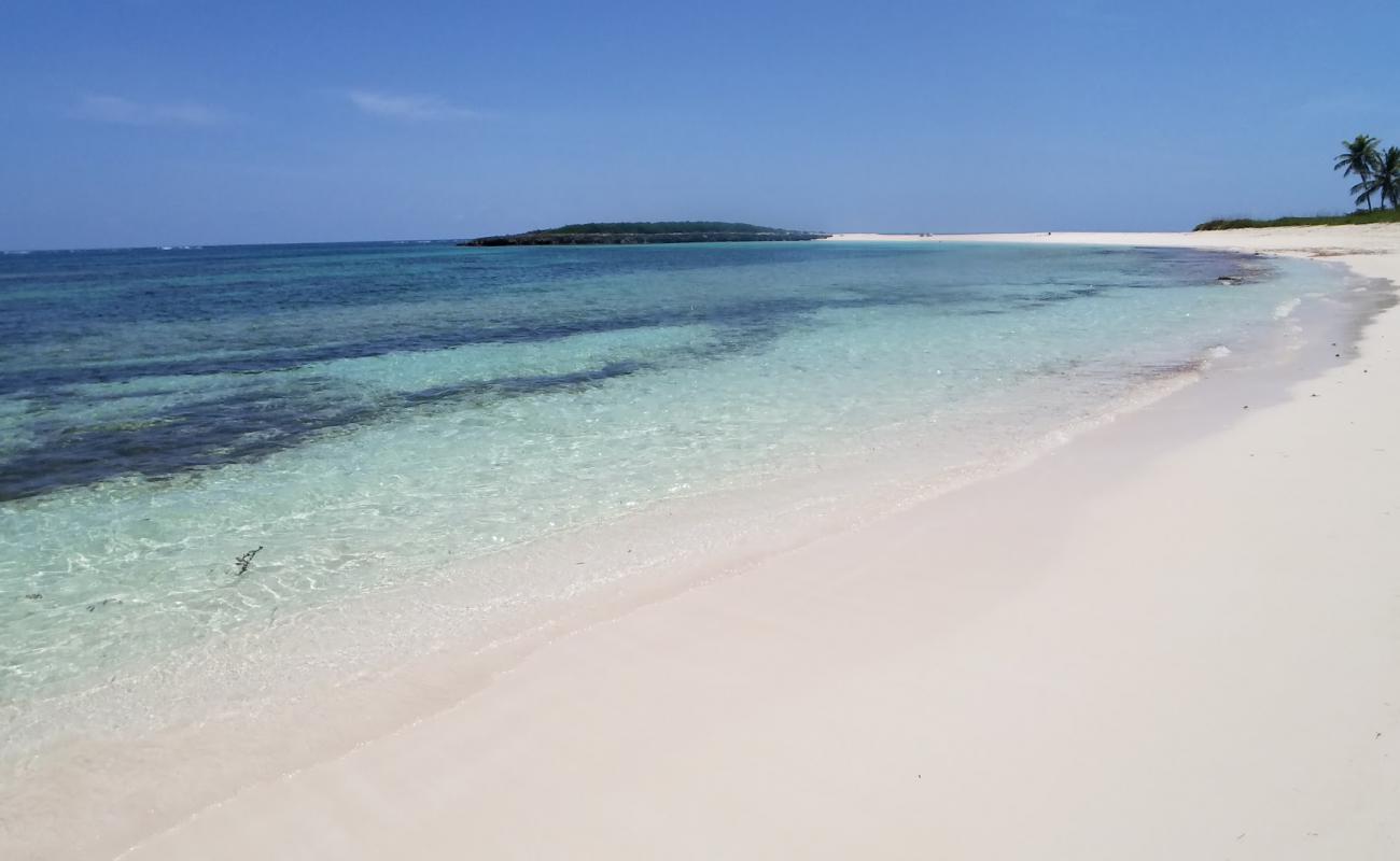 Photo de Twin Coves beach avec sable fin et lumineux de surface