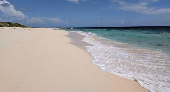 Surfer's beach