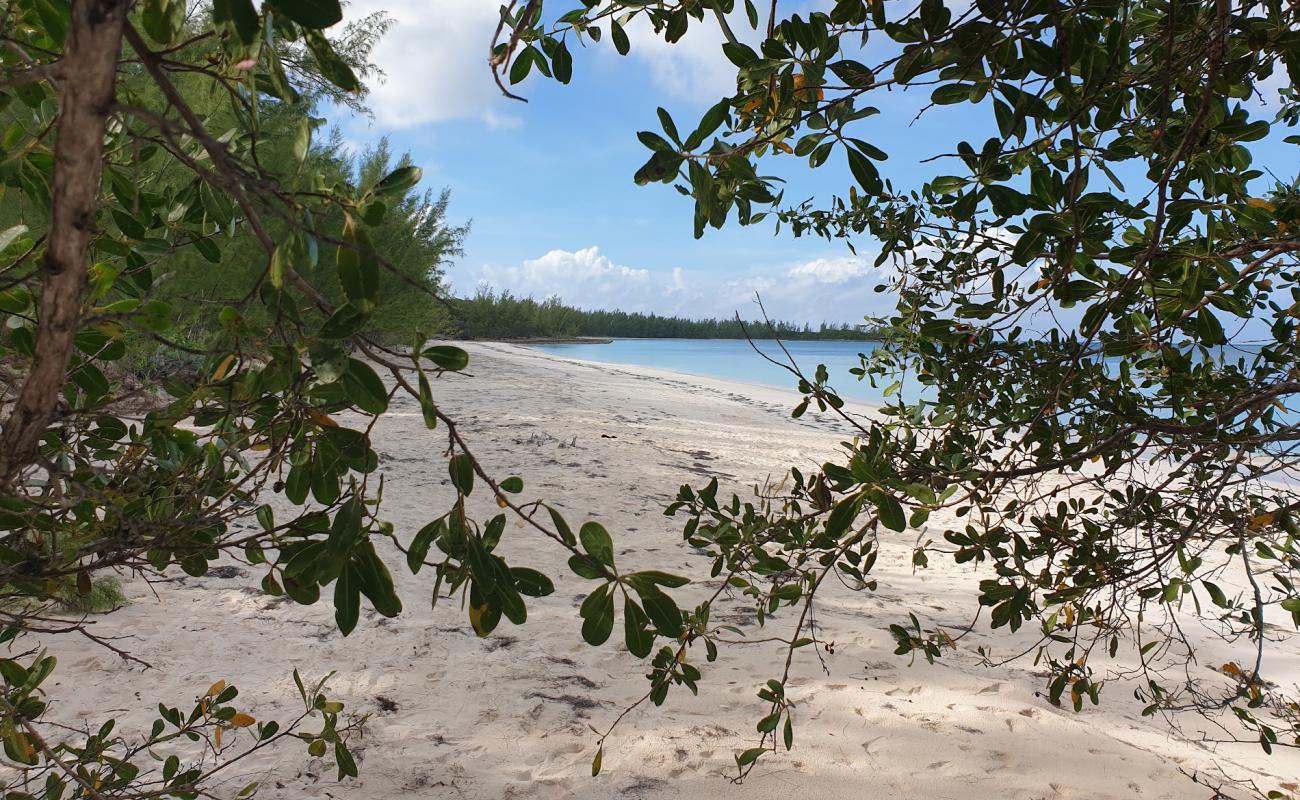 Photo de Tay Bay beach avec sable beige fin de surface