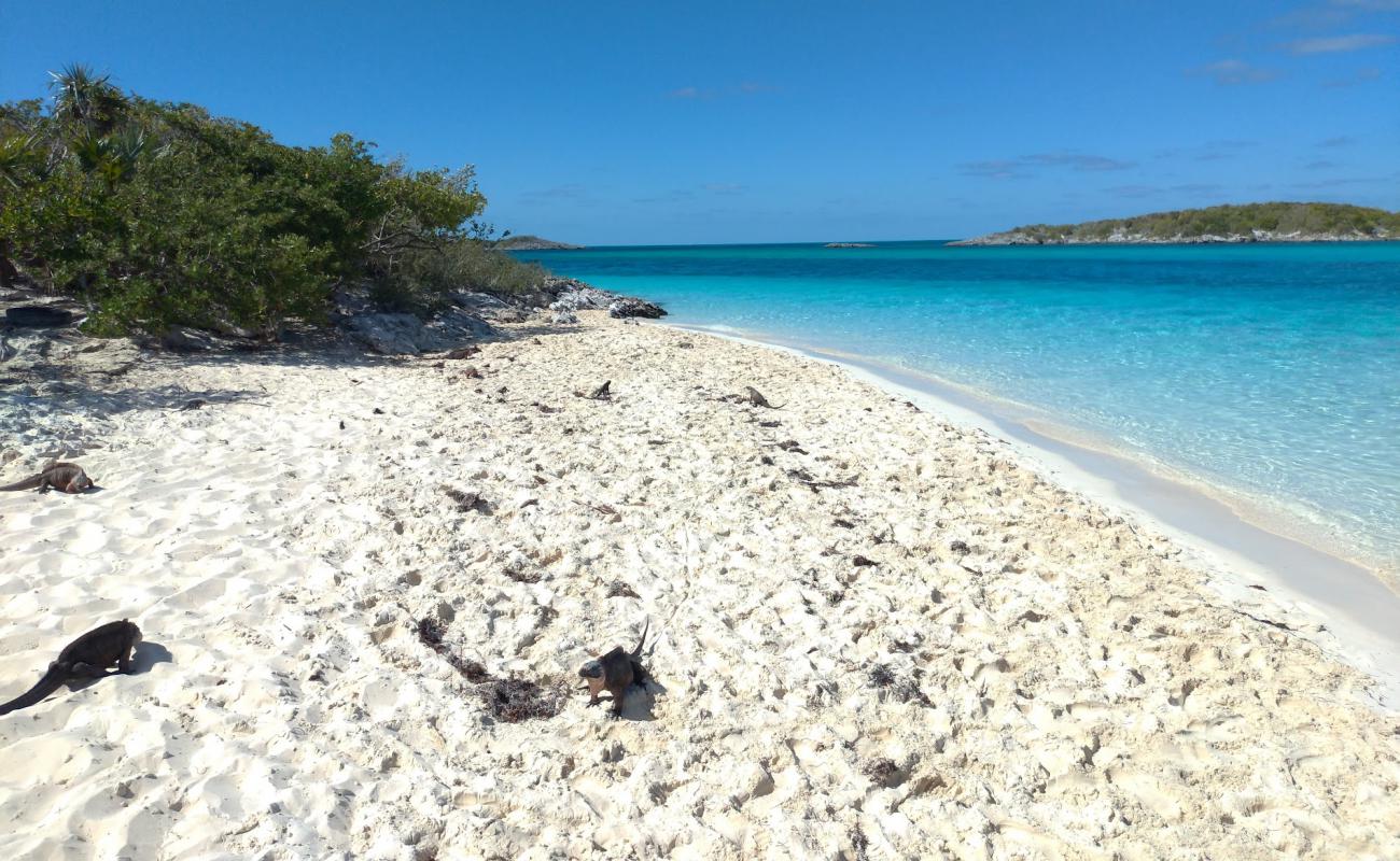 Photo de Iguana beach avec sable fin blanc de surface