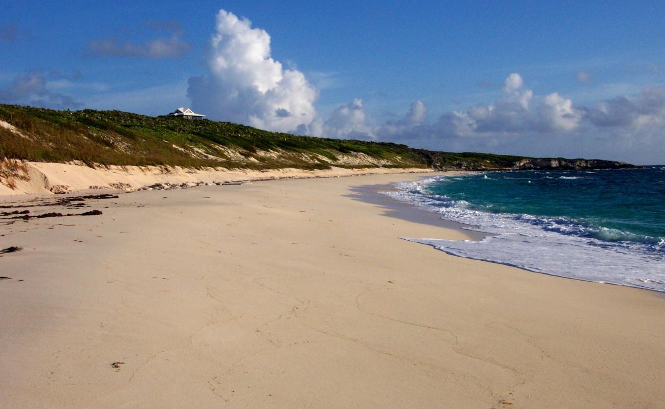 Photo de Crow's Nest beach avec sable fin blanc de surface