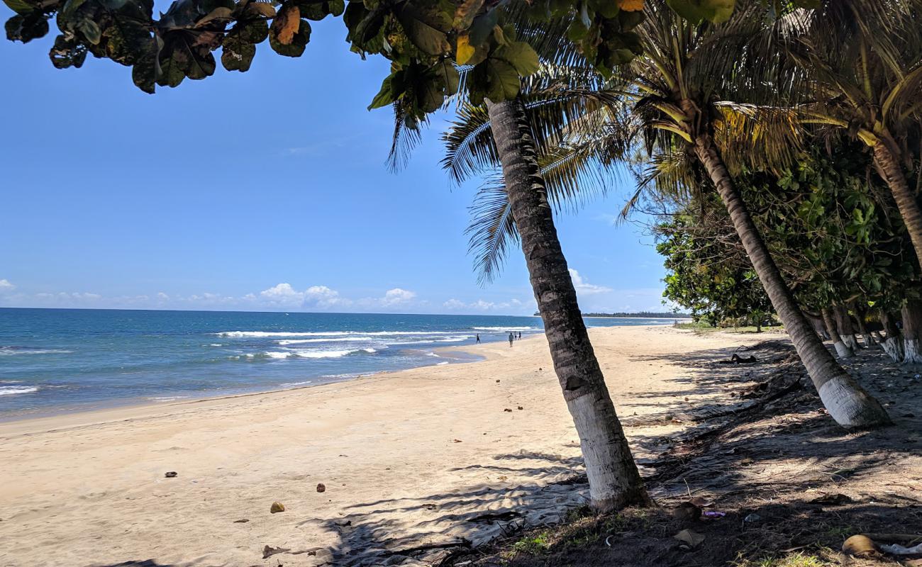 Photo de Plage Ampandrozonana avec sable beige de surface