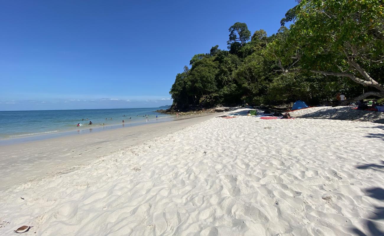 Photo de Sandy Skulls Beach avec sable beige fin de surface