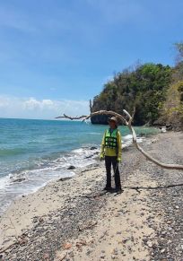 Île de Tanjung Dendang