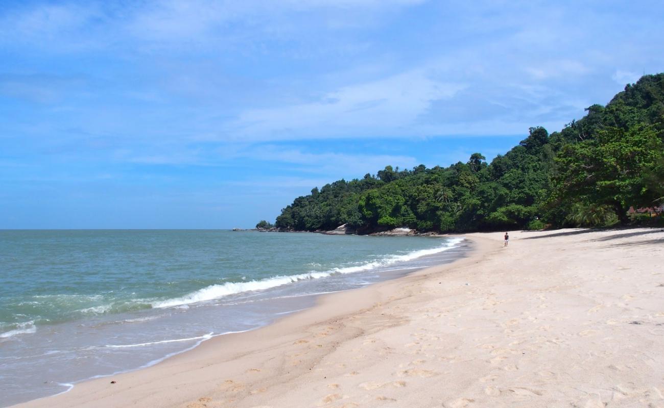 Photo de Long Sand Beach avec sable beige de surface