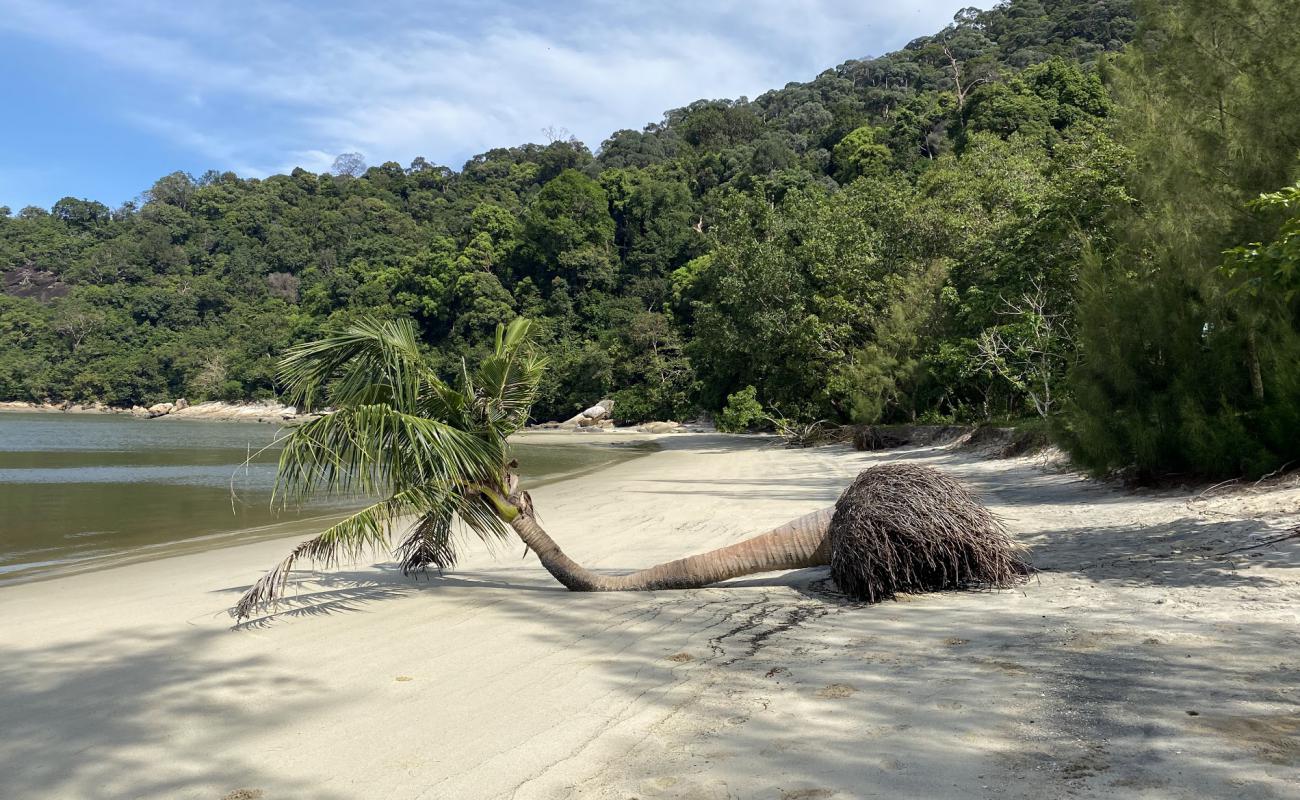 Photo de Teluk Kampi Beach avec sable beige de surface