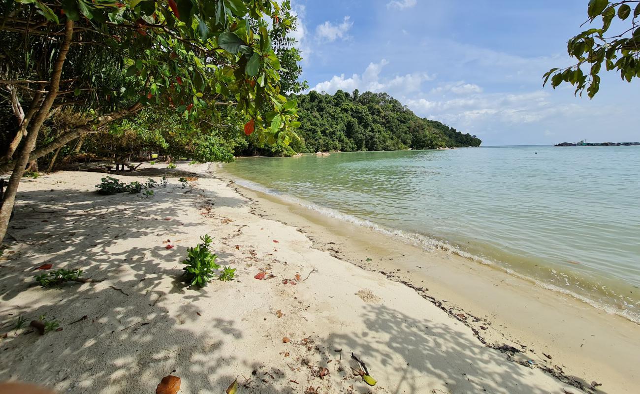 Photo de Adverlabs Beach avec sable beige de surface