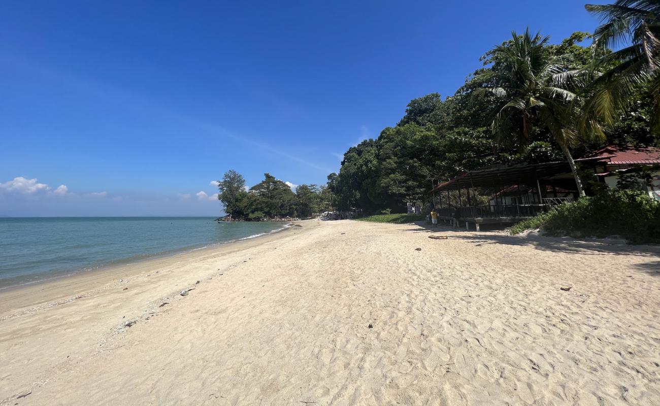 Photo de Moonlight Bay beach avec sable lumineux de surface