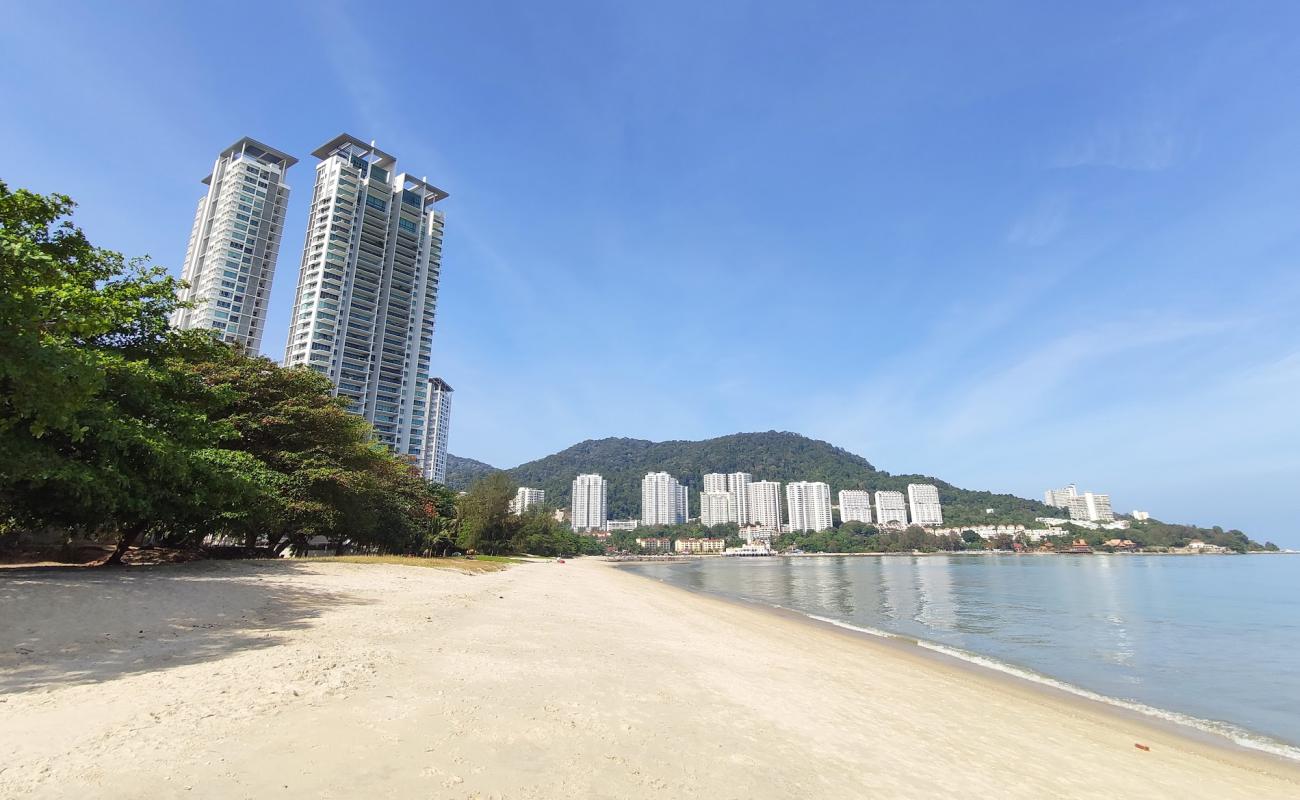 Photo de Tanjung Bungah Beach avec sable beige de surface