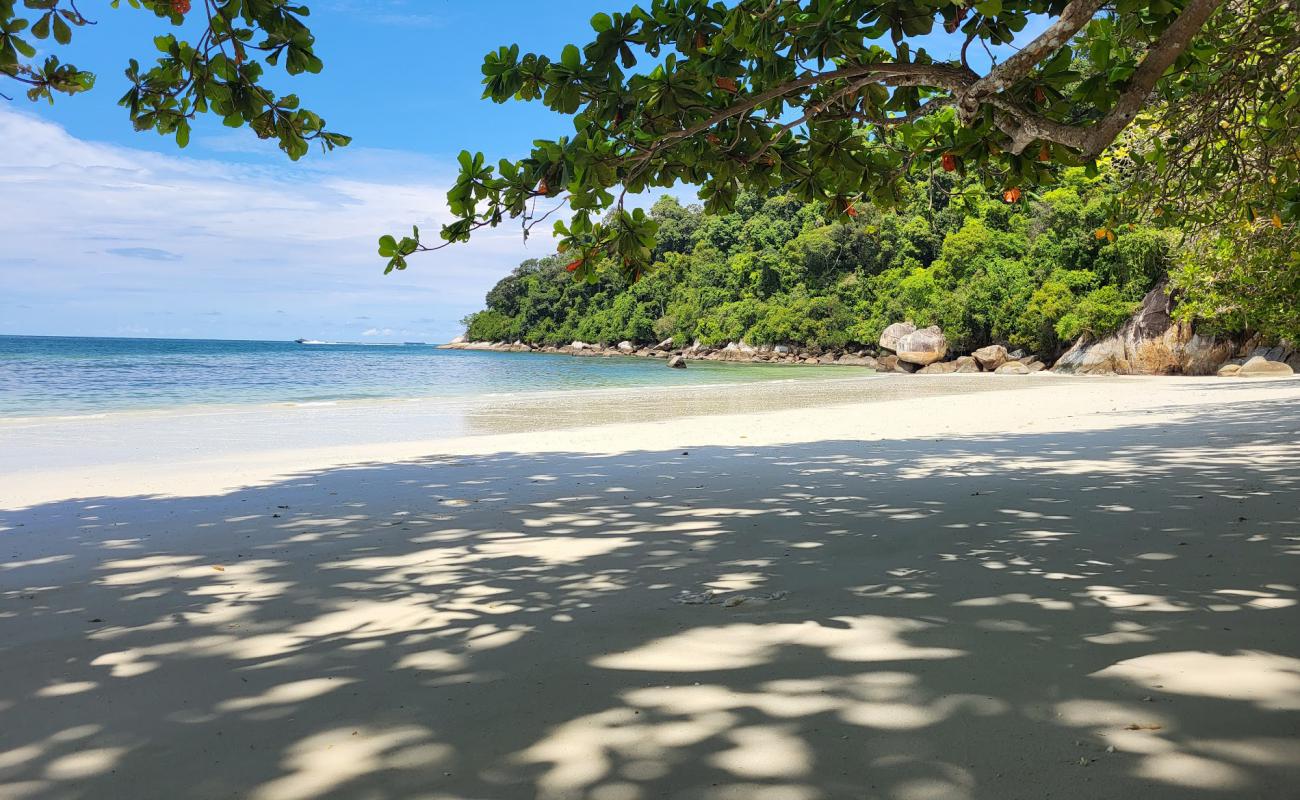 Photo de Teluk Segadas Beach avec sable beige de surface