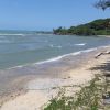 Tanjung Balau Jetty Beach