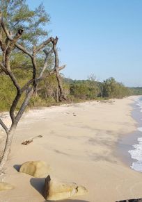 Teluk Cempedak
