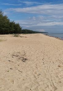 Kampung Telok Kandis Salor