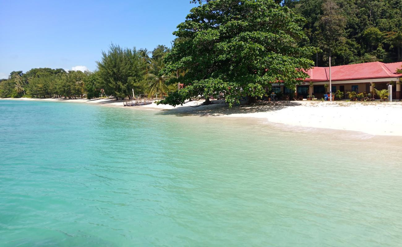 Photo de Shaz Resort beach avec sable blanc de surface