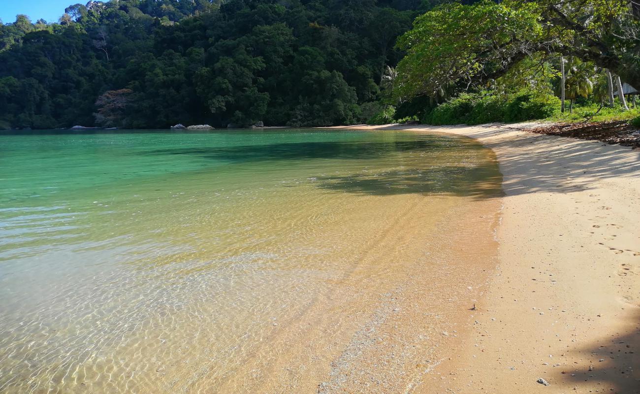 Photo de Monkey Bay avec sable beige de surface