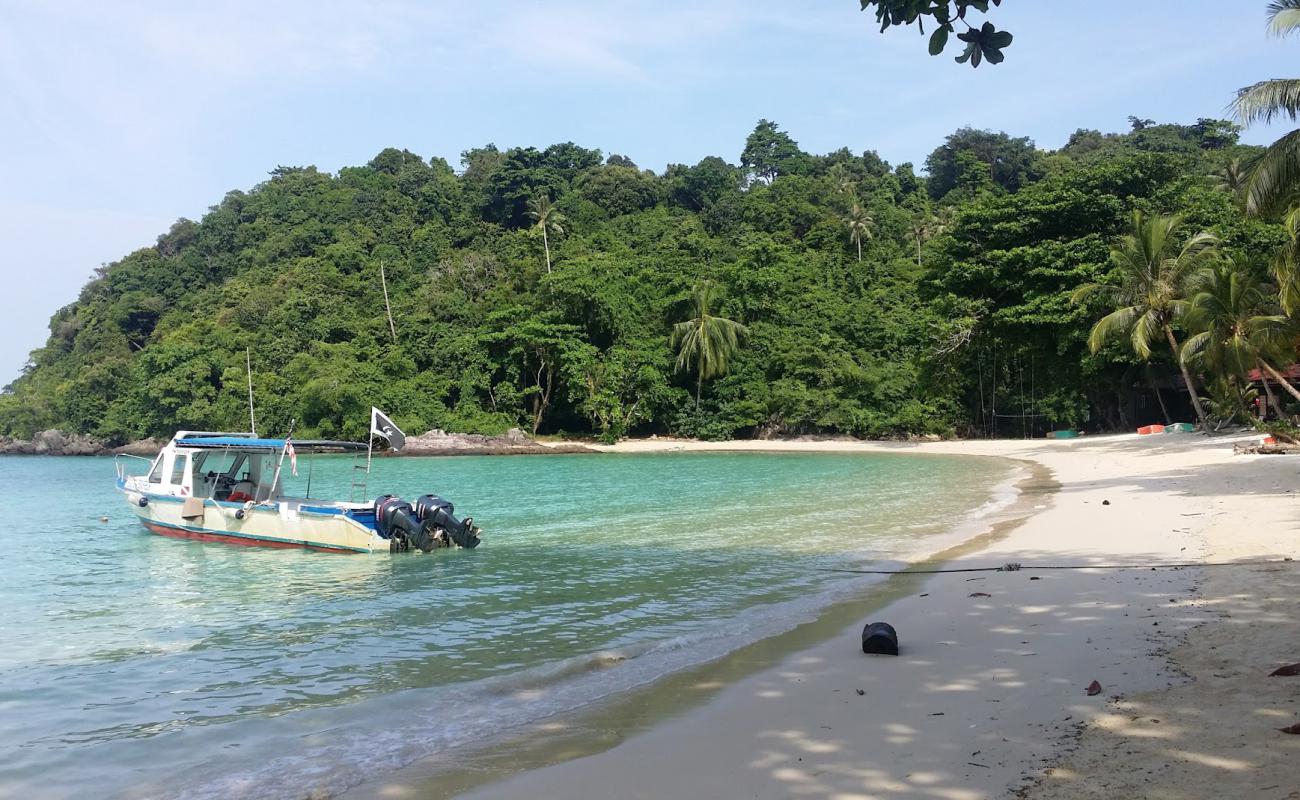 Photo de Pulau Tenggol avec sable beige de surface