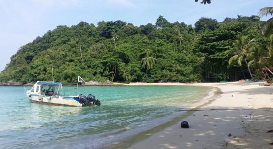 Pulau Tenggol