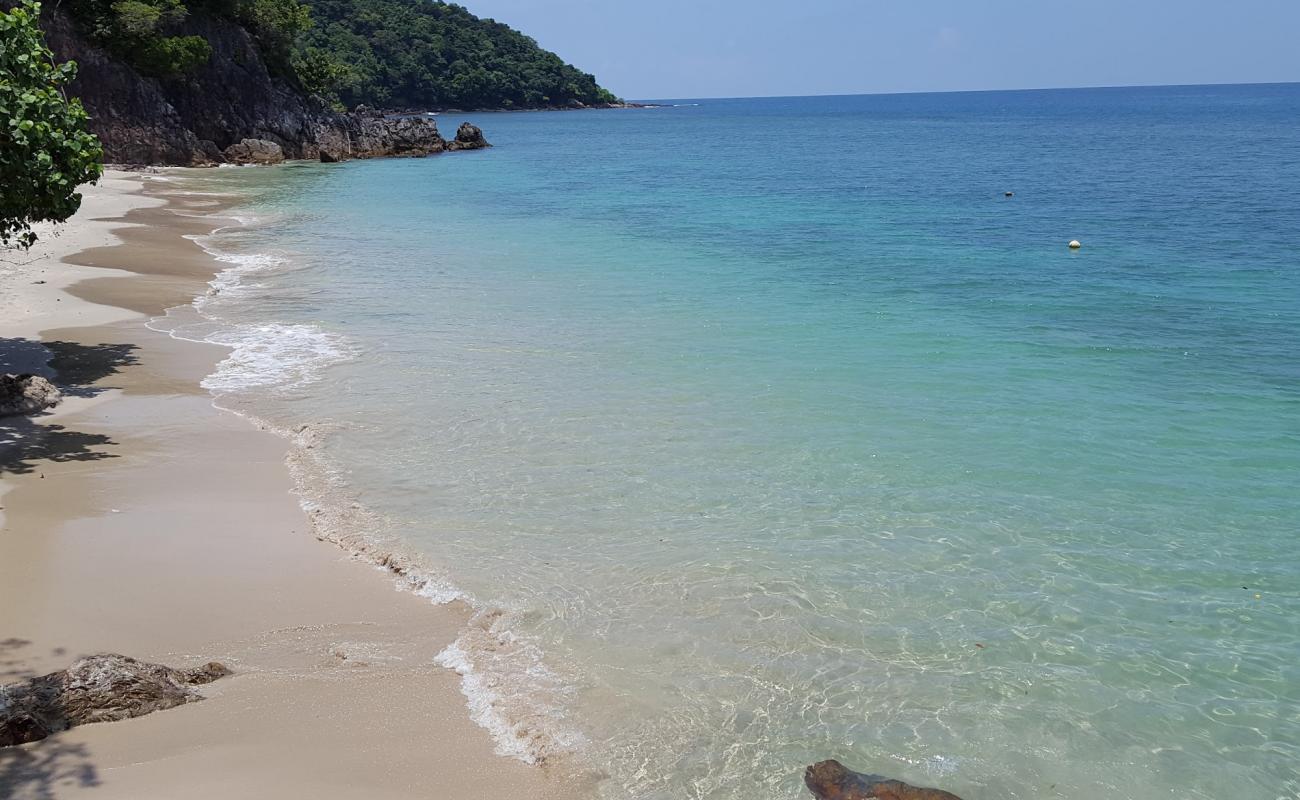 Photo de Kapas Turtle Valley avec sable lumineux de surface