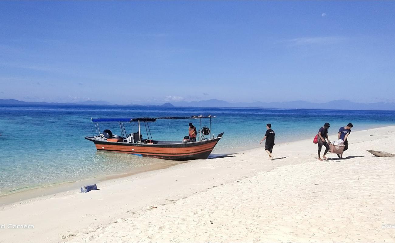 Photo de Bidong Bay avec sable lumineux de surface