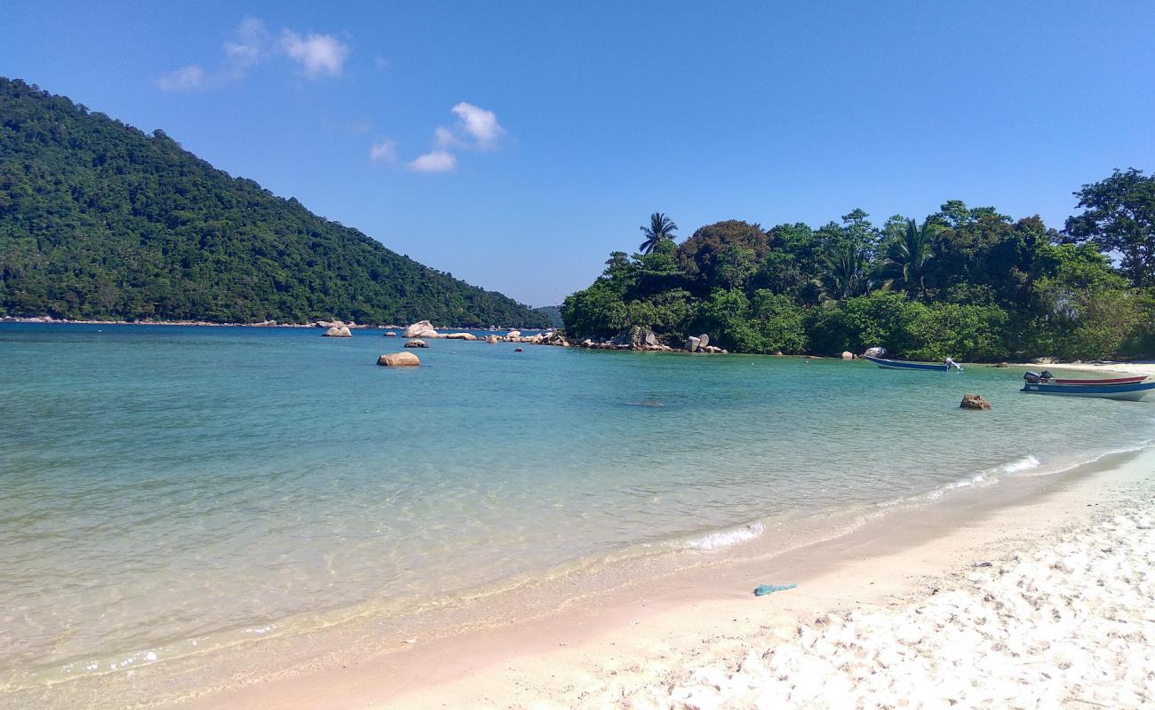 Photo de Turtle Bay Beach avec sable lumineux de surface