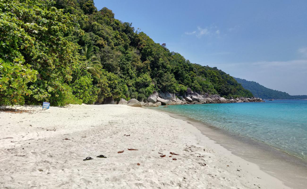 Photo de Plage des Tortues avec sable lumineux de surface