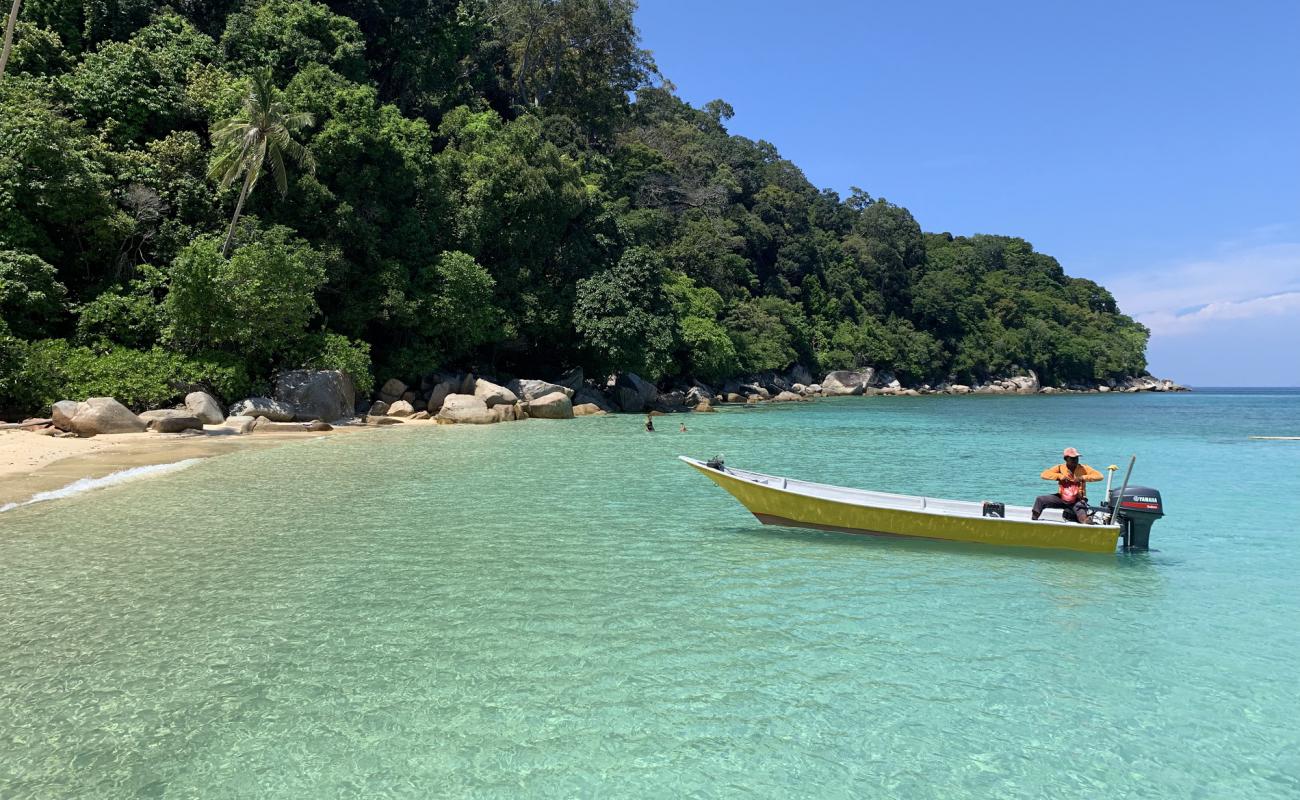 Photo de Bubbles Dive Resort Beach avec sable beige de surface