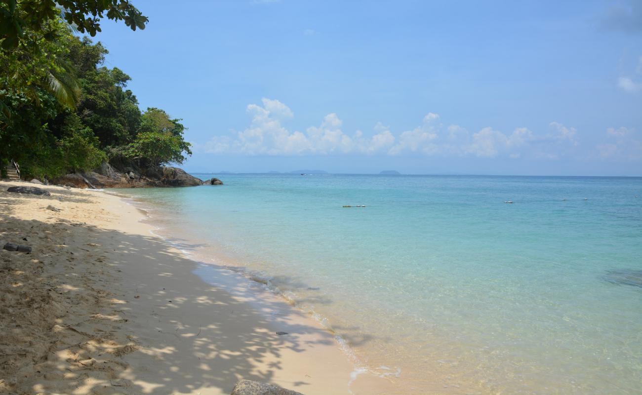 Photo de Rainforest Beach avec sable lumineux de surface