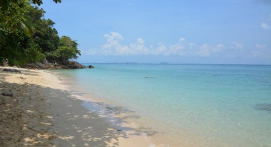 Rainforest Beach